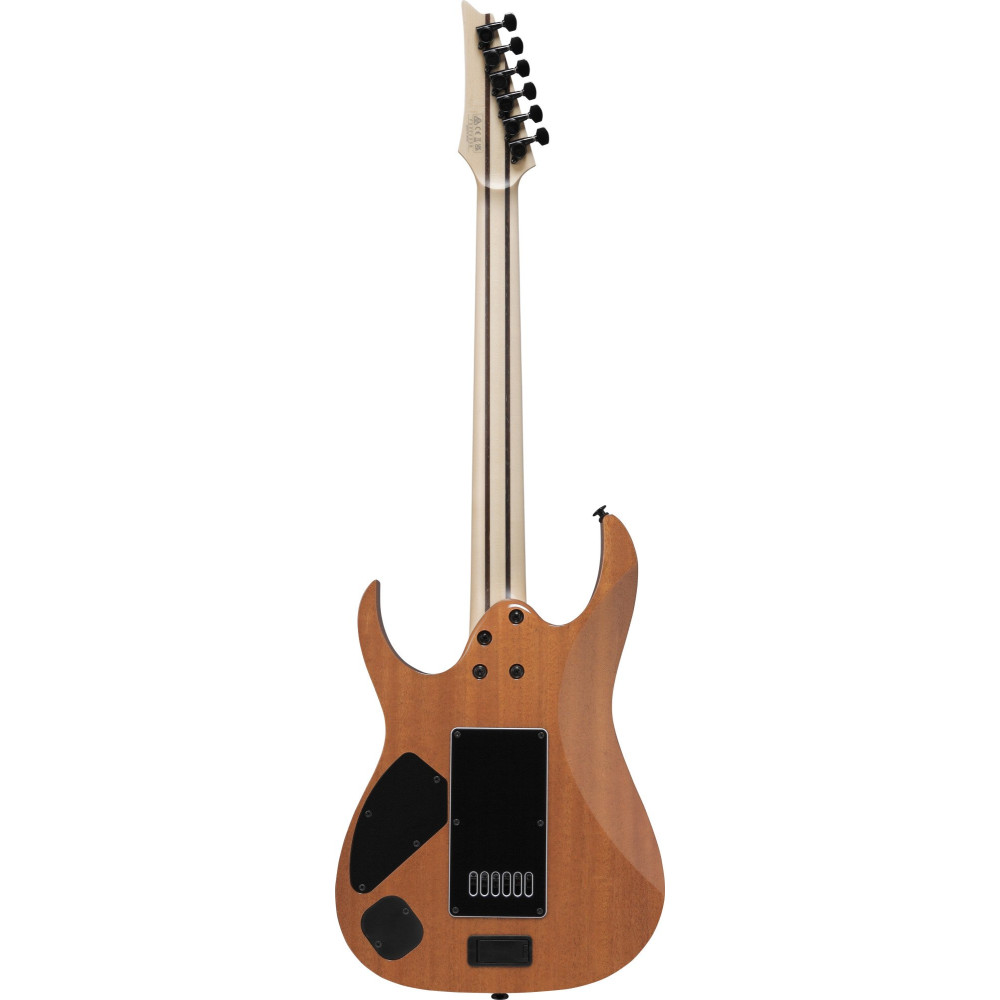 Ibanez RG5121RET-PRT Prestige RG Electric Guitar 6-String - Polar Lights + Case
