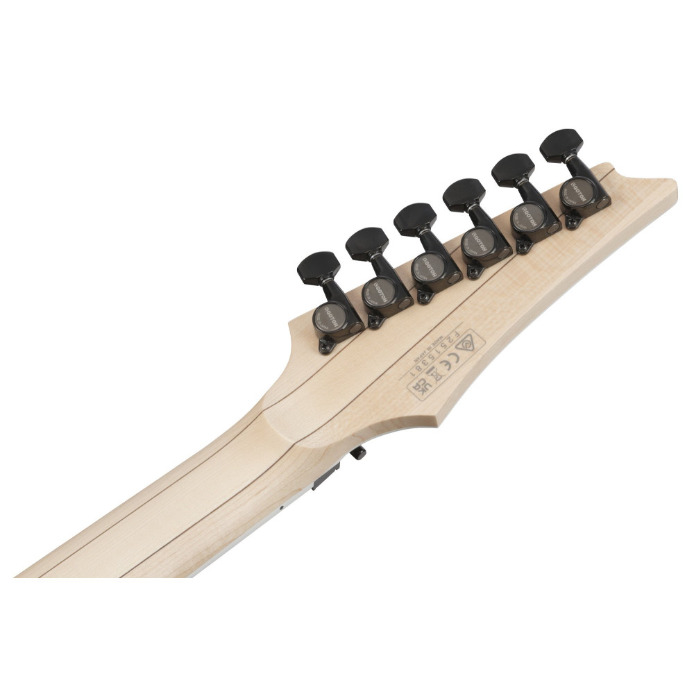 Ibanez RG565R-VK Genesis RGR Electric Guitar 6-String - Vampire Kiss