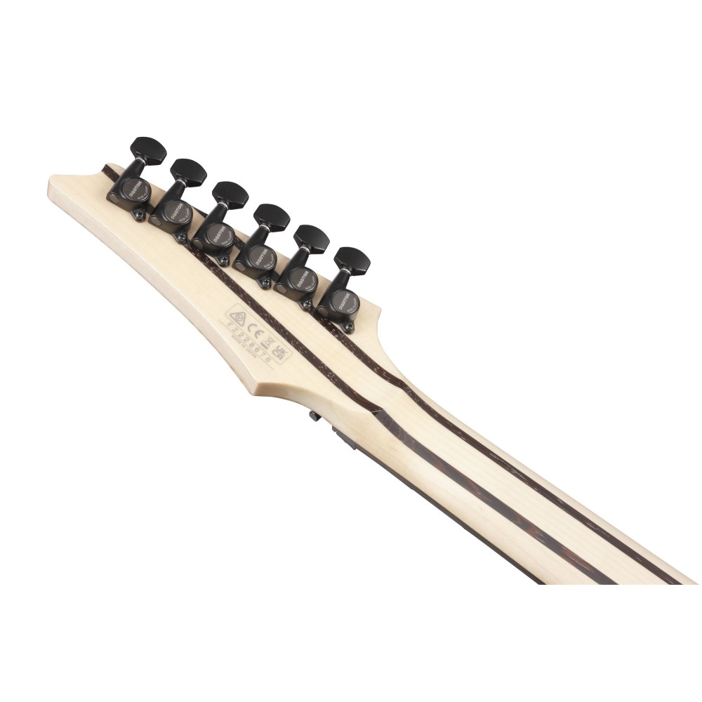 Ibanez RG8870-BRE j.custom, Axe Design Lab RG Electric Guitar 6-String - Black Rutile + Case