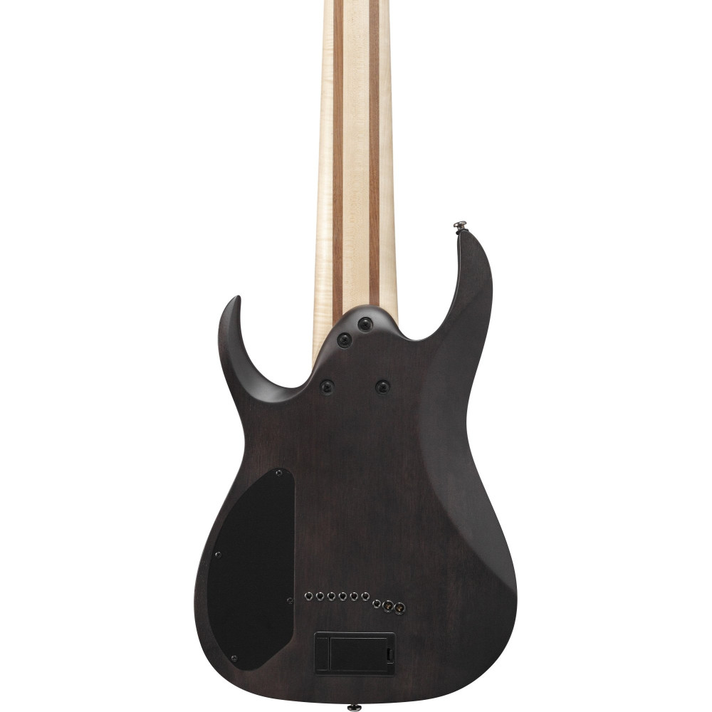 Ibanez RG9PB-TGF Axe Design Lab RG Electric Guitar 9-String - Transparent Gray Flat