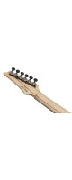 Ibanez RGA21P1PB-DRL Premium RGA Electric Guitar 6-String - Deep Twilight Burst Low Gloss + Gig Bag