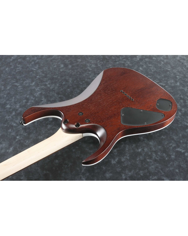 Ibanez RGA42FM-DEF RGA Electric Guitar 6-String - Dragon Eye Burst Flat