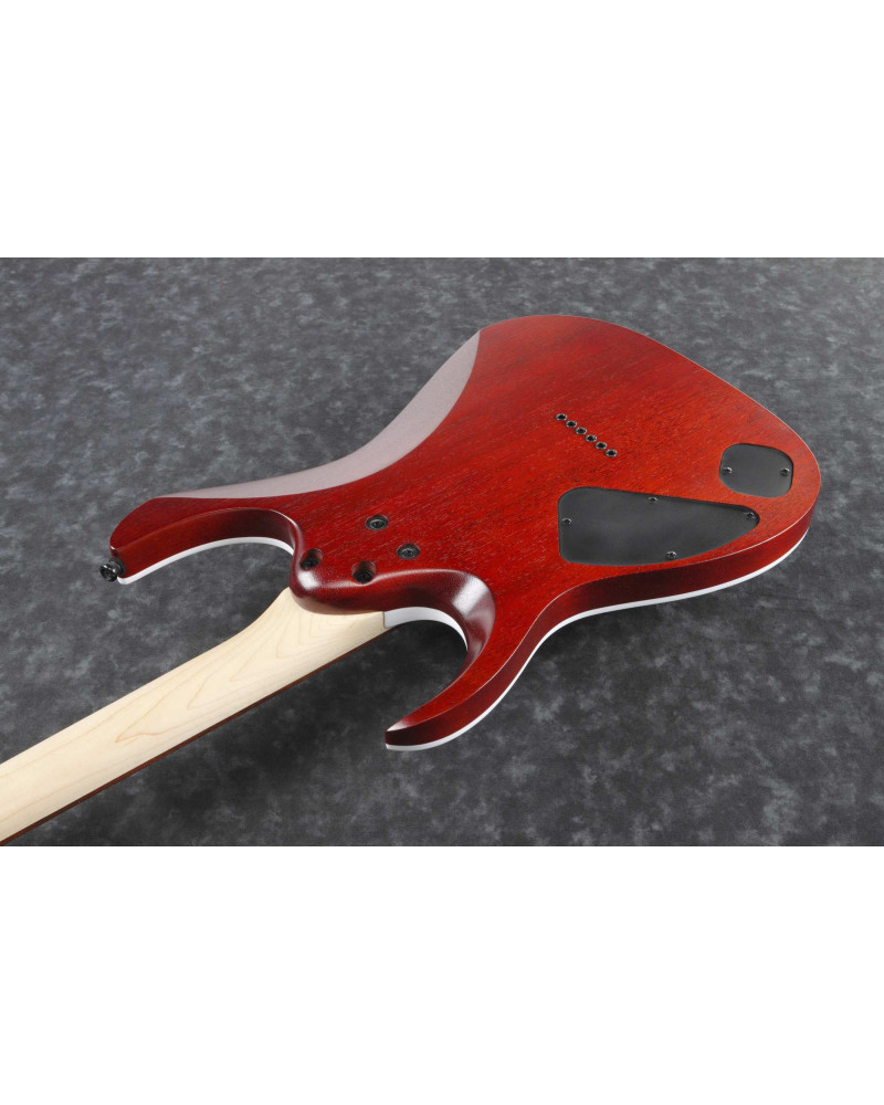 Ibanez RGA42FM-TGF RGA Electric Guitar 6-String - Transparent Grey Flat