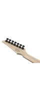 Ibanez RGA742FM-TGF RGA Electric Guitar 7-String - Transparent Grey Flat