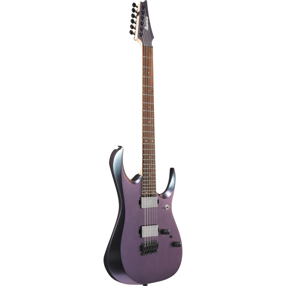 Ibanez RGD3121-PRF Prestige RGD Electric Guitar 6-String - Polar Light Flat + Case