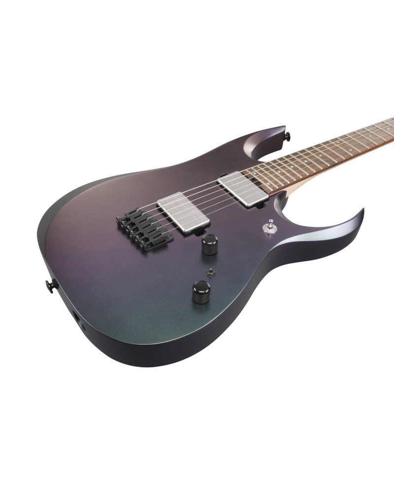 Ibanez RGD3121-PRF Prestige RGD Electric Guitar 6-String - Polar Light Flat + Case