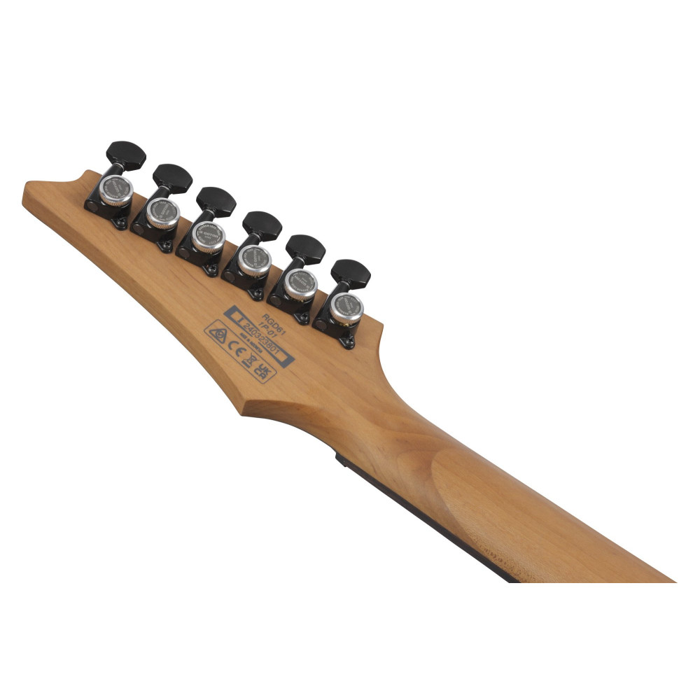 Ibanez RGD61-BAM RGD Electric Guitar 6-String - Black Aurora Burst Matte