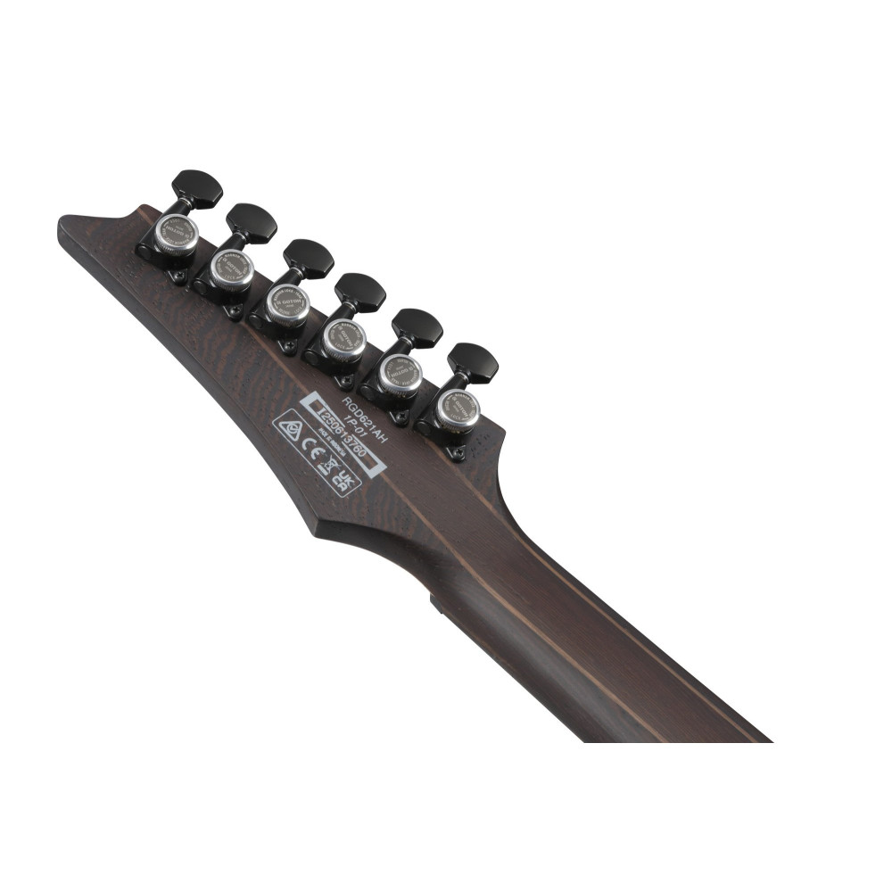 Ibanez RGD621AH-MNF RGD Electric Guitar 6-String - Midnight Shade Flat