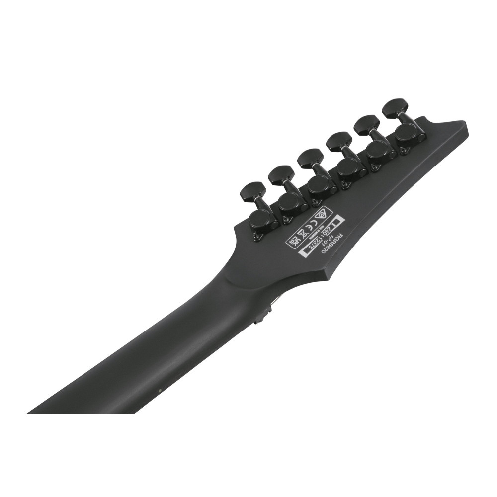 Ibanez RGRB620-BKF Iron Label RGR Electric Guitar 6-String - Black Flat