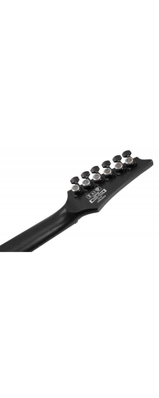 Ibanez RGRTB621-BKF Iron Label RGRT Electric Guitar 6-String - Black Flat