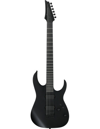 Ibanez RGRTBB21-BKF Iron Label RGRT Electric Guitar 6-String Baritone - Black Flat