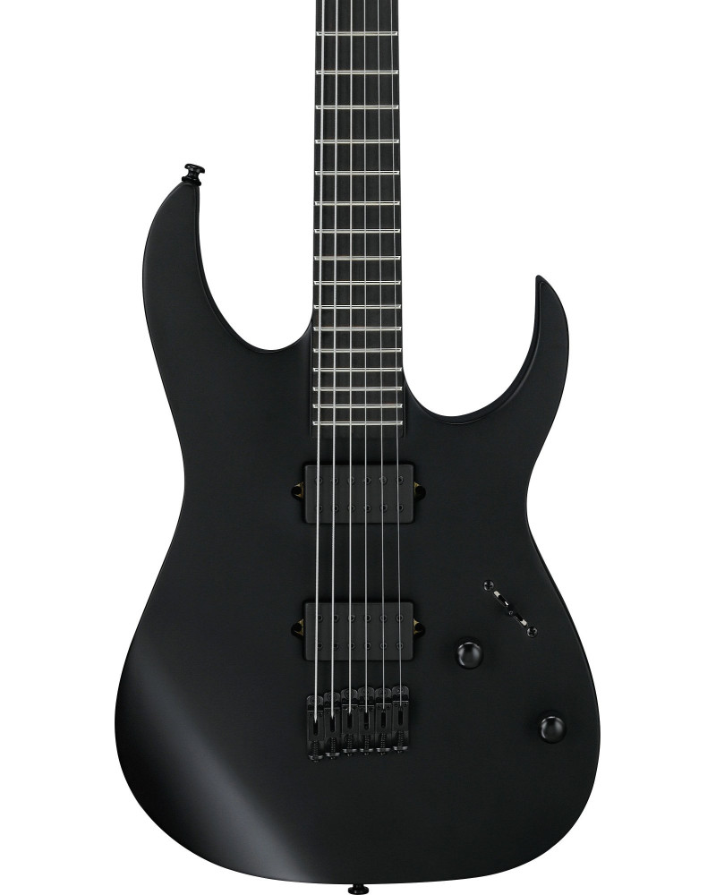 Ibanez RGRTBB21-BKF Iron Label RGRT Electric Guitar 6-String Baritone - Black Flat