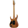 Ibanez RGT1220PB-ABS Premium RGT Electric Guitar 6-String - Antique Brown Stained + Gig Bag