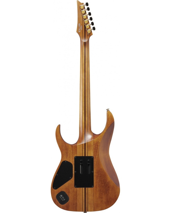 Ibanez RGT1220PB-ABS Premium RGT Electric Guitar 6-String - Antique Brown Stained + Gig Bag