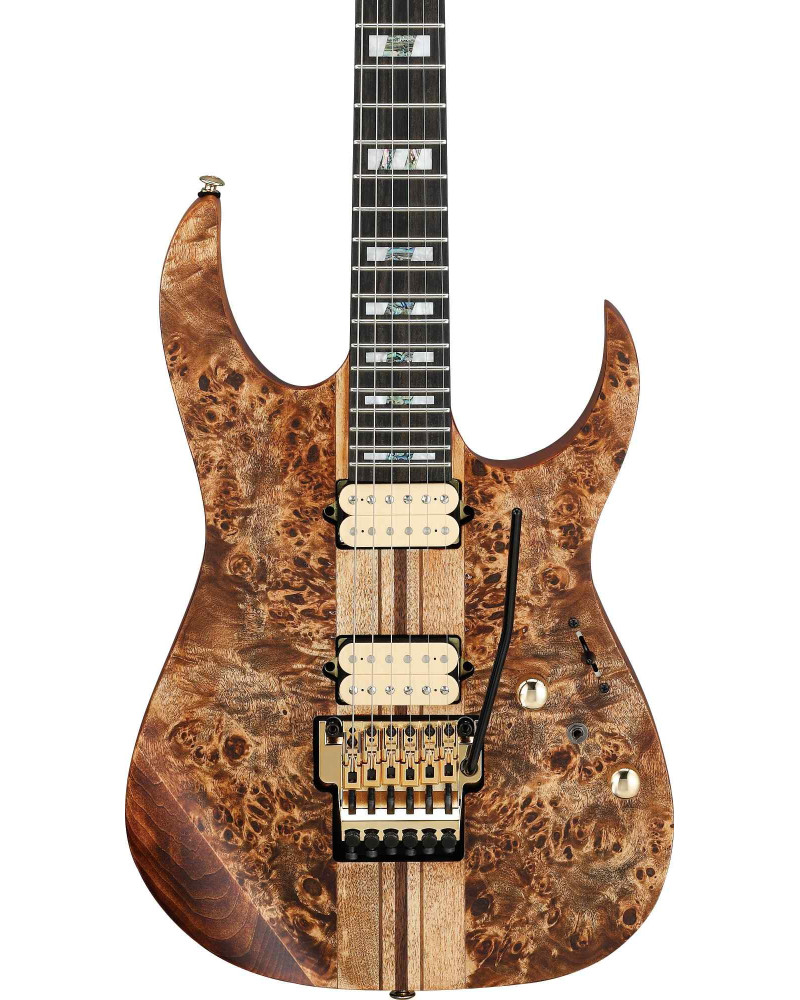 Ibanez RGT1220PB-ABS Premium RGT Electric Guitar 6-String - Antique Brown Stained + Gig Bag