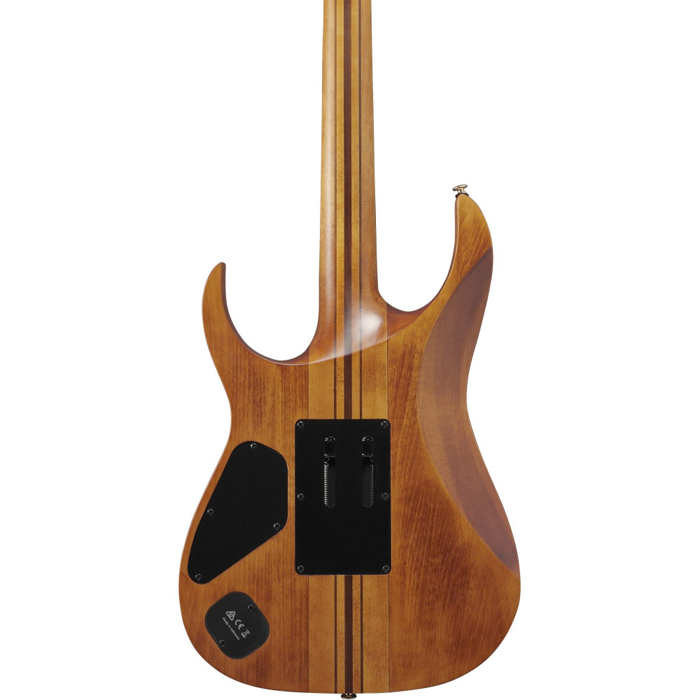 Ibanez RGT1220PB-ABS Premium RGT Electric Guitar 6-String - Antique Brown Stained + Gig Bag