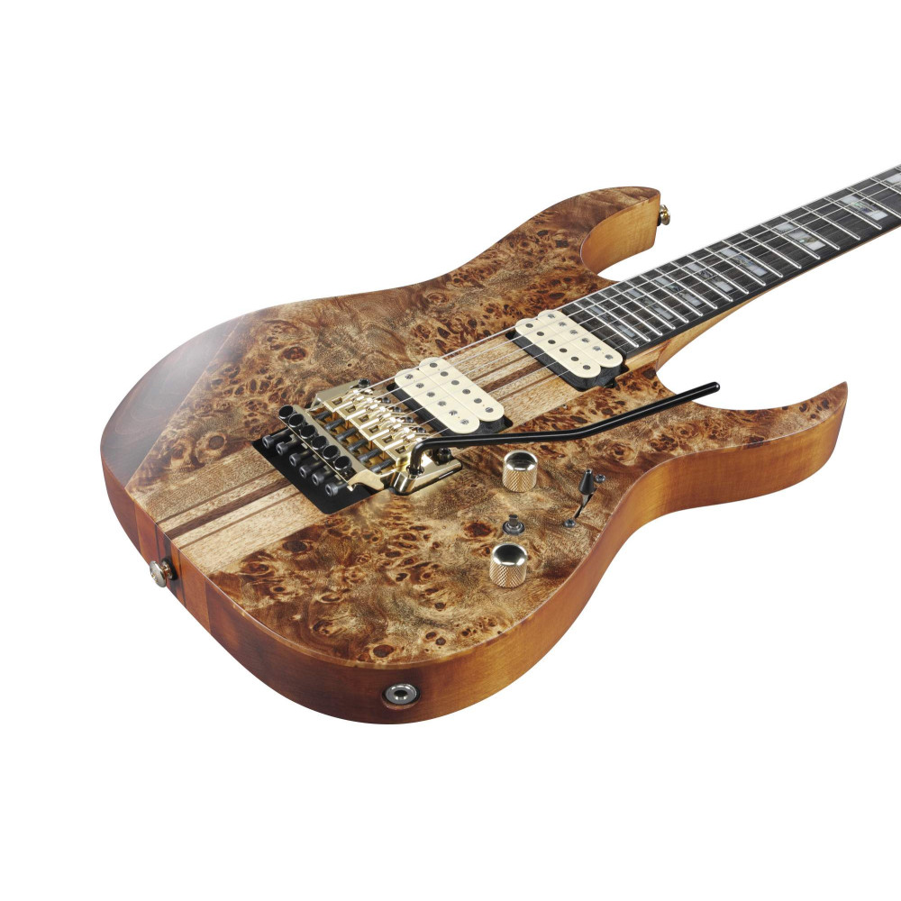 Ibanez RGT1220PB-ABS Premium RGT Electric Guitar 6-String - Antique Brown Stained + Gig Bag