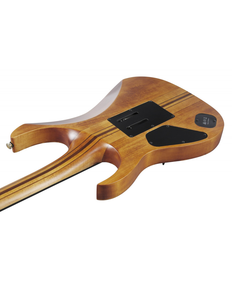 Ibanez RGT1220PB-ABS Premium RGT Electric Guitar 6-String - Antique Brown Stained + Gig Bag