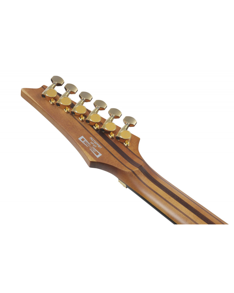 Ibanez RGT1220PB-ABS Premium RGT Electric Guitar 6-String - Antique Brown Stained + Gig Bag