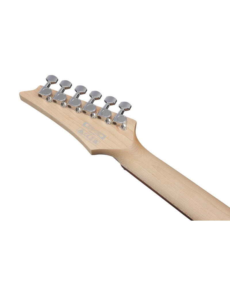 Ibanez SA260FM-BRG SA Electric Guitar 6-String - Blue Reef Gradation