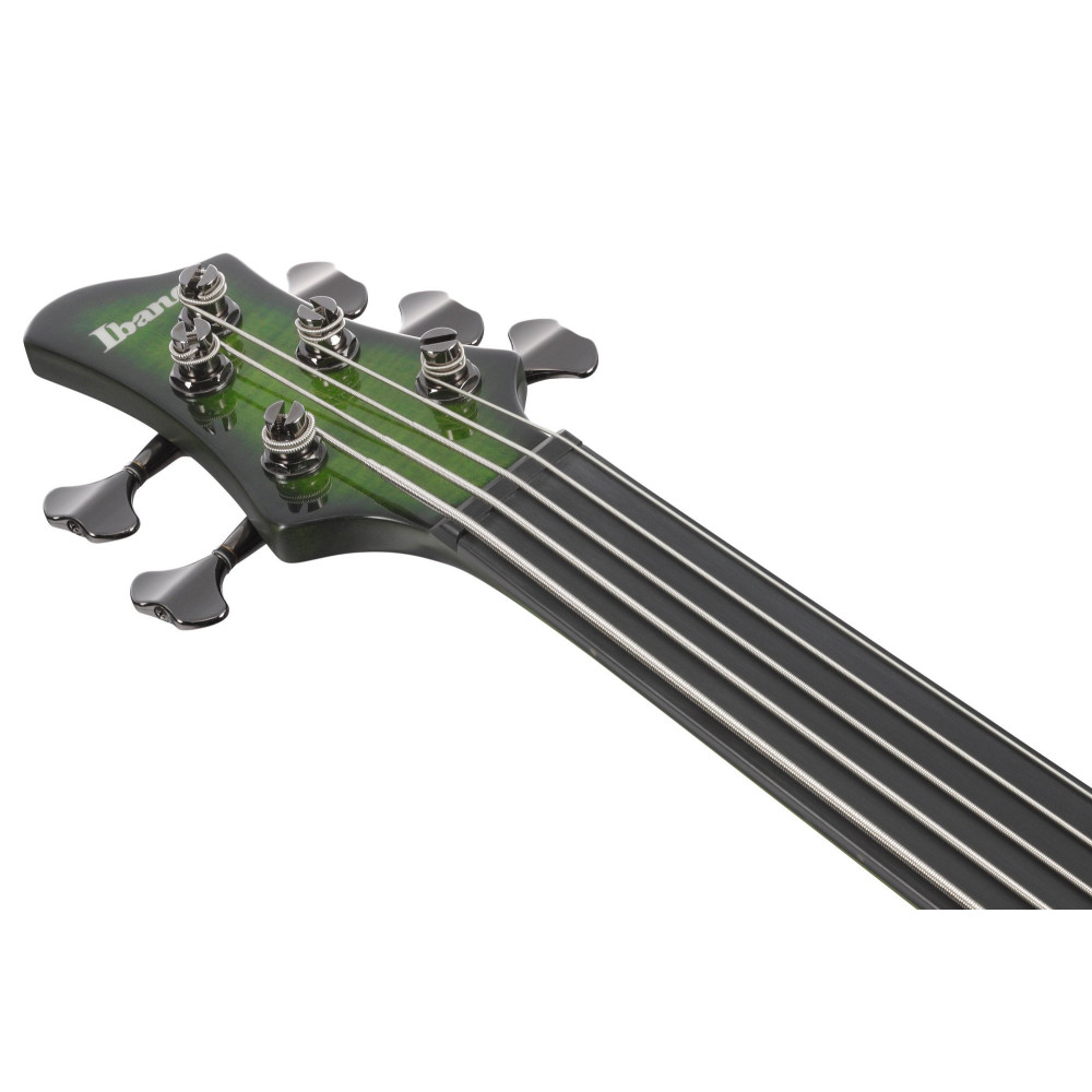 Ibanez SDGB1-DMT Steve Di Giorgio Signature Electric Bass 5-String Fretless - Dark Moss Burst