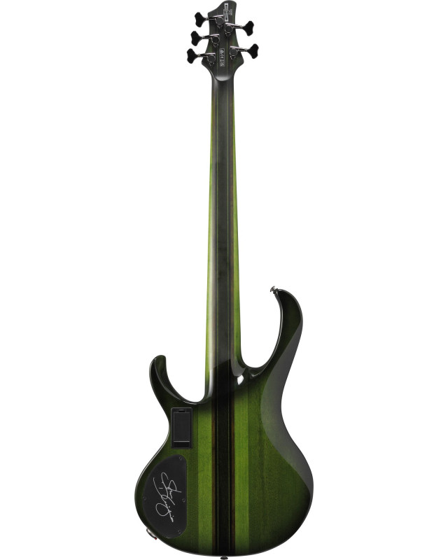 Ibanez SDGB1-DMT Steve Di Giorgio Signature Electric Bass 5-String Fretless - Dark Moss Burst