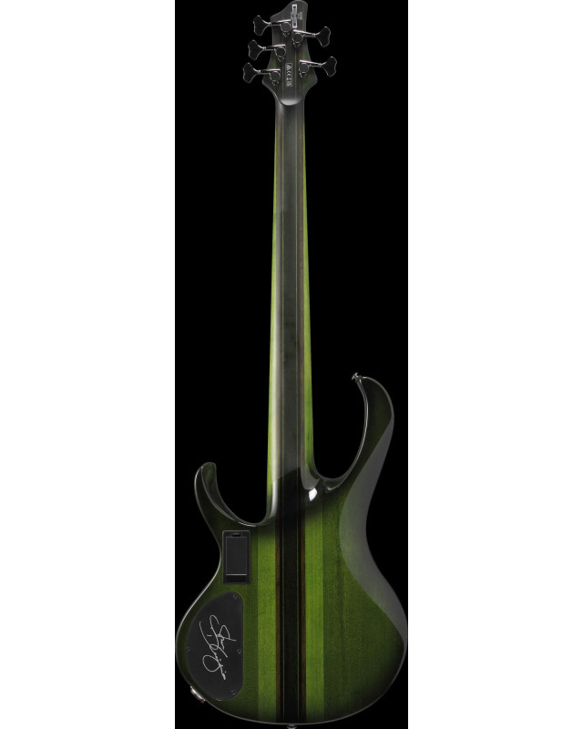 Ibanez SDGB1-DMT Steve Di Giorgio Signature Electric Bass 5-String Fretless - Dark Moss Burst