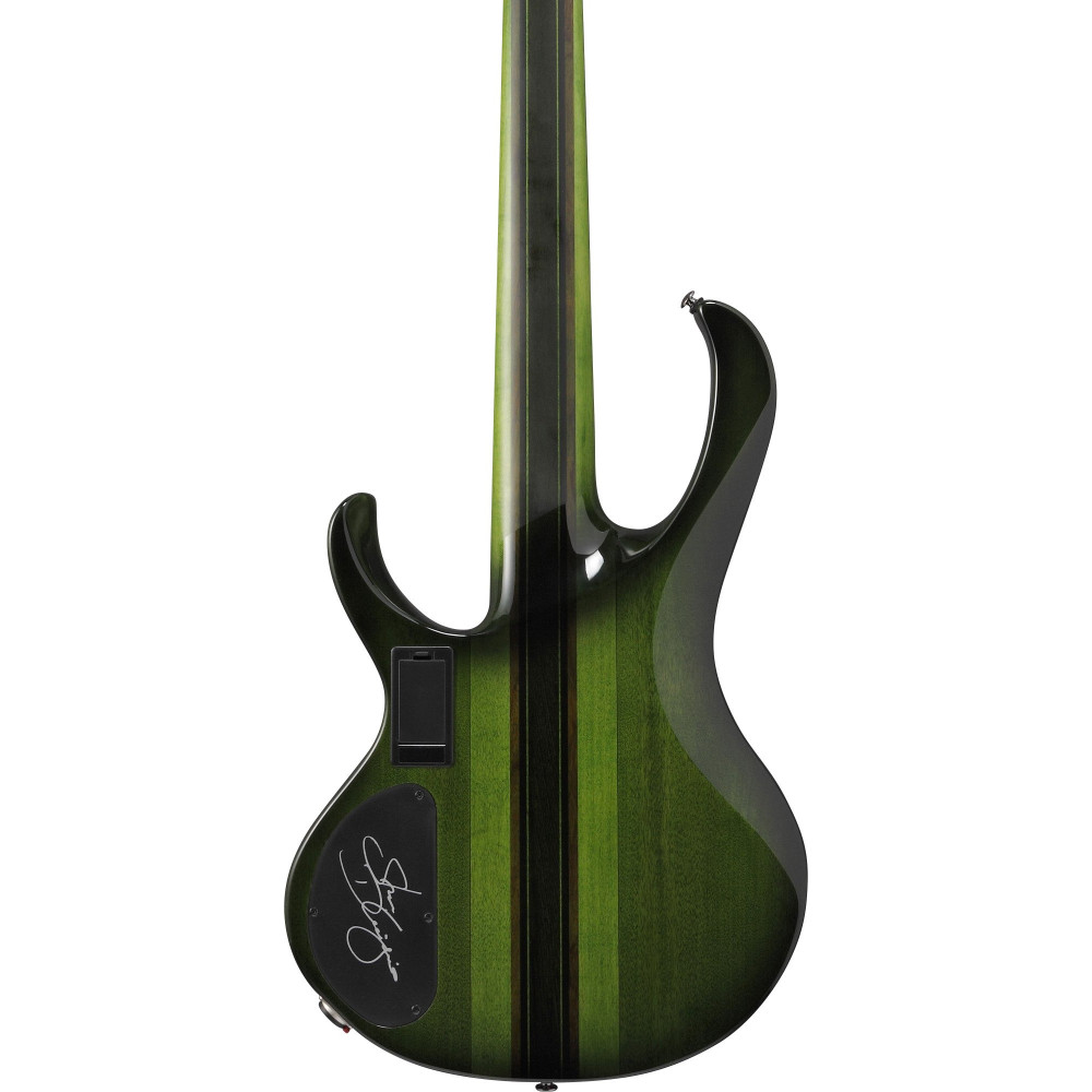 Ibanez SDGB1-DMT Steve Di Giorgio Signature Electric Bass 5-String Fretless - Dark Moss Burst