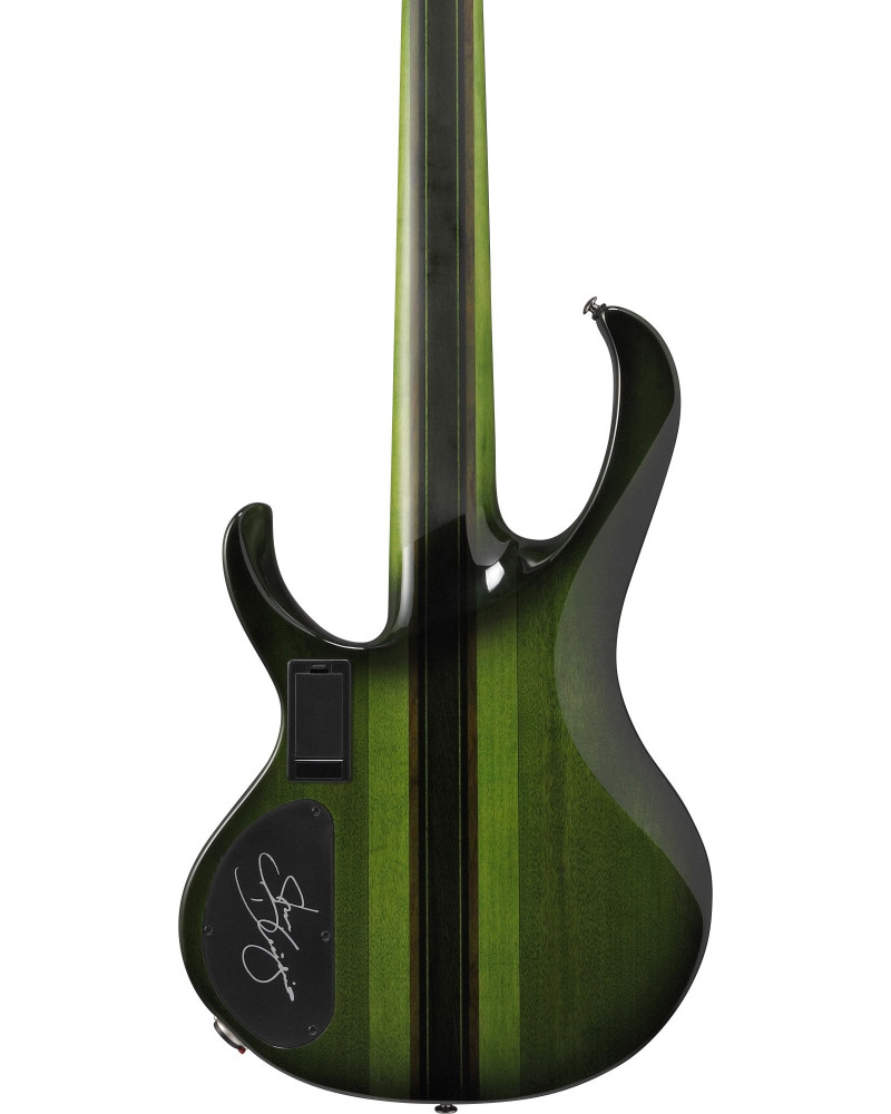Ibanez SDGB1-DMT Steve Di Giorgio Signature Electric Bass 5-String Fretless - Dark Moss Burst