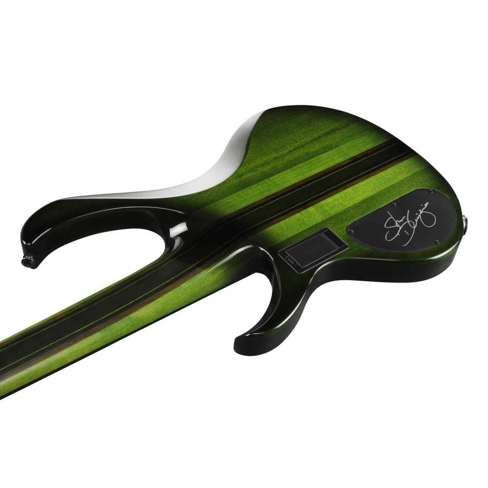 Ibanez SDGB1-DMT Steve Di Giorgio Signature Electric Bass 5-String Fretless - Dark Moss Burst