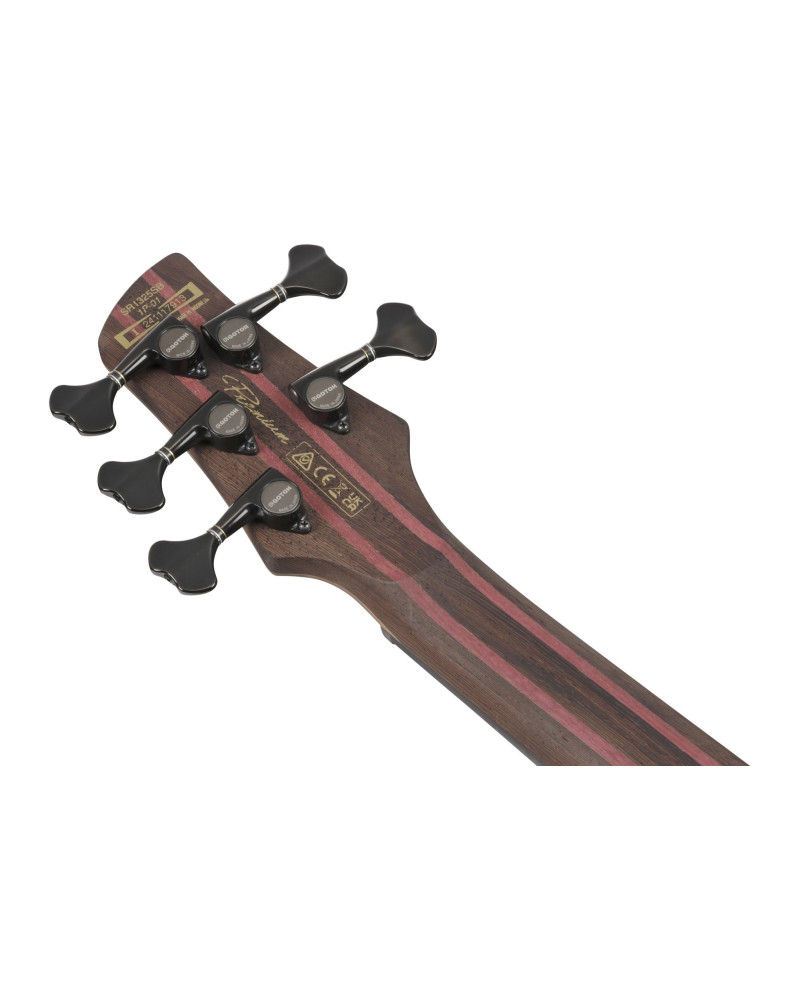 Ibanez SR1325SB-IVF Premium SR Electric Bass 5-String - Icebreaker Wave Flat + Gig Bag