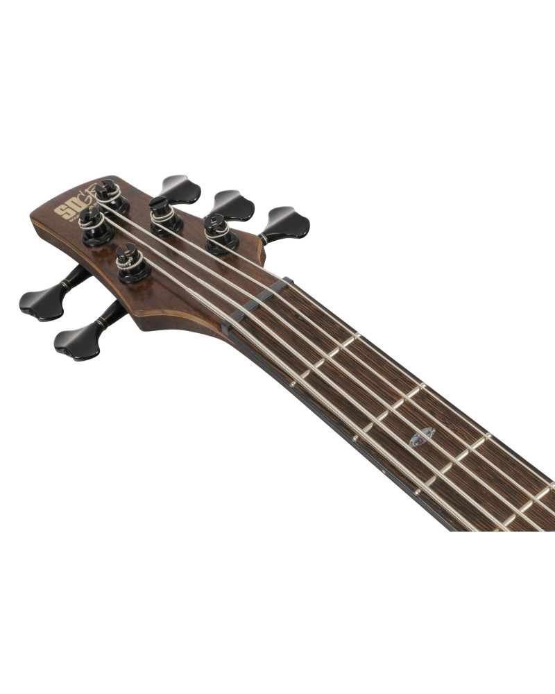 Ibanez SR1325SB-IVF Premium SR Electric Bass 5-String - Icebreaker Wave Flat + Gig Bag