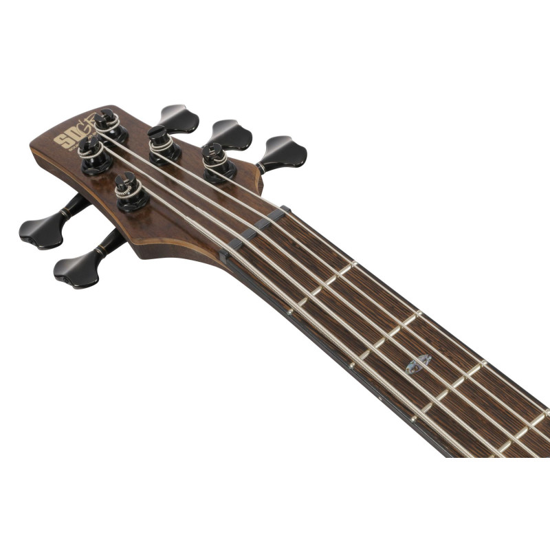 Ibanez SR1325SB-IVF Premium SR Electric Bass 5-String - Icebreaker Wave Flat + Gig Bag
