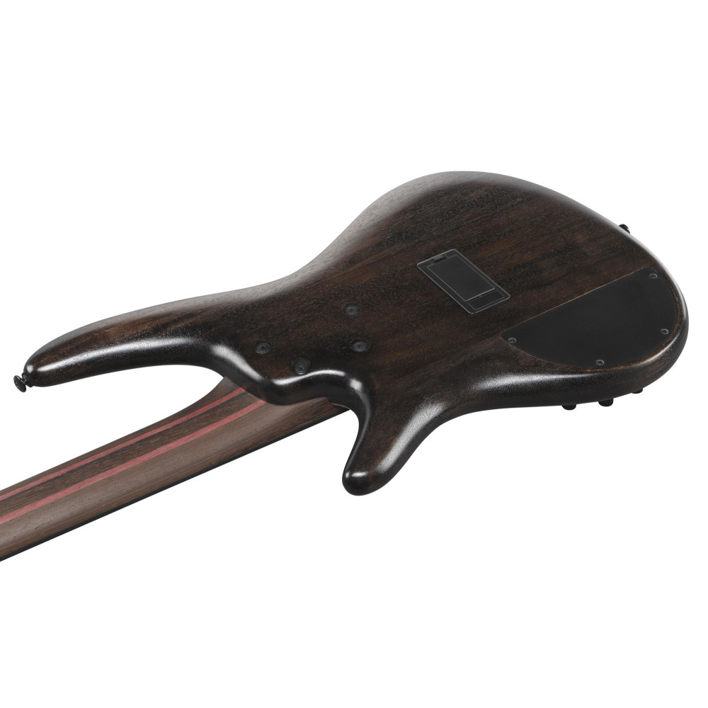 Ibanez SR1325SB-IVF Premium SR Electric Bass 5-String - Icebreaker Wave Flat + Gig Bag