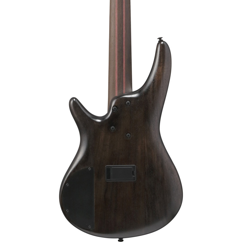 Ibanez SR1325SB-IVF Premium SR Electric Bass 5-String - Icebreaker Wave Flat + Gig Bag