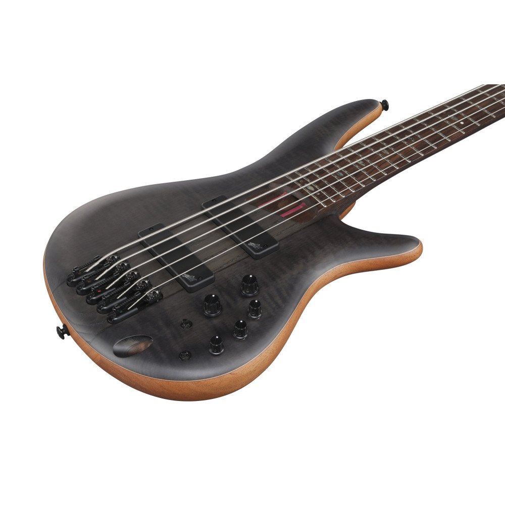 Ibanez SR1455DW-TGF Premium SR Electric Bass 5-String - Transparent Gray Flat + Gigbag
