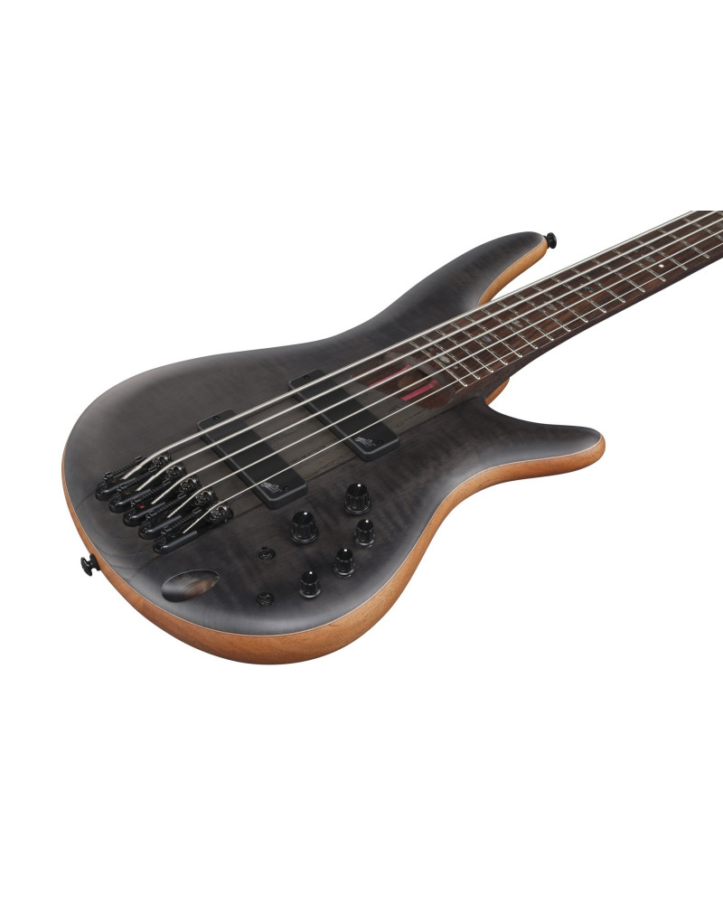 Ibanez SR1455DW-TGF Premium SR Electric Bass 5-String - Transparent Gray Flat + Gigbag