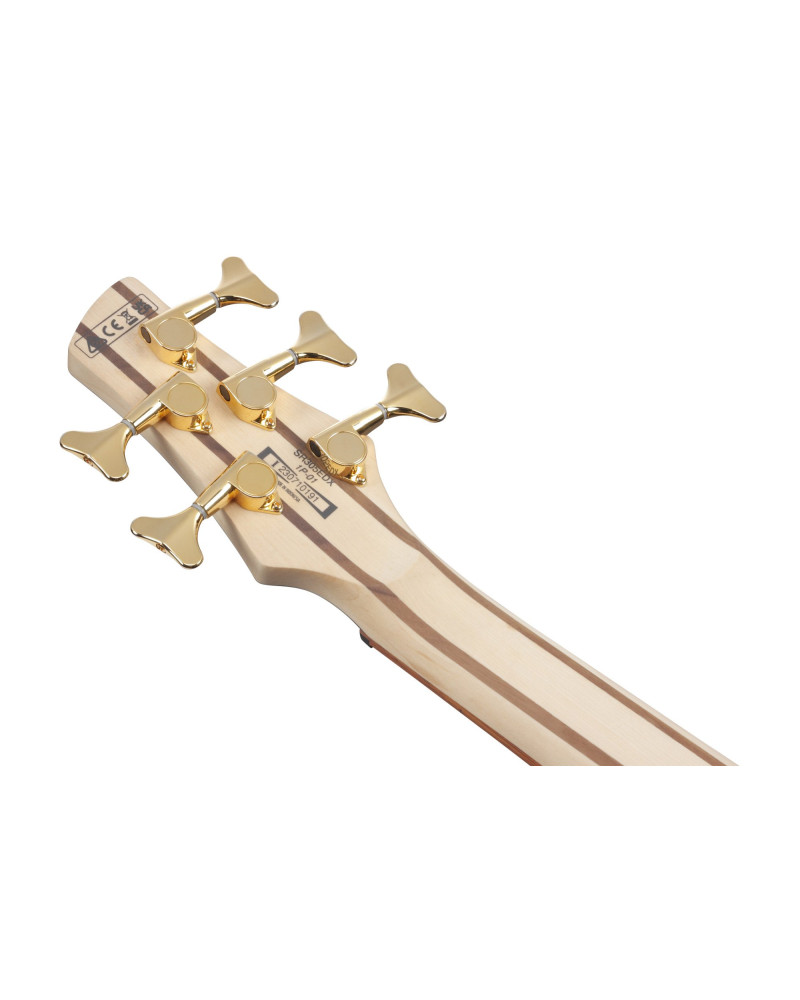 Ibanez SR305EDX-CZM SR Electric Bass 5-String - Cosmic Blue Frozen Matte