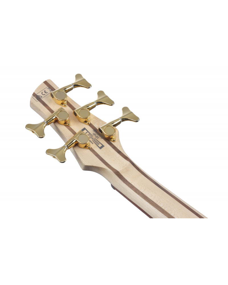 Ibanez SR305EDX-RGC SR Electric Bass 5-String - Rose Gold Chameleon