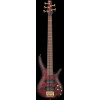 Ibanez SR305EDX-WZM SR Electric Bass 5-String - Wine Red Frozen Matte