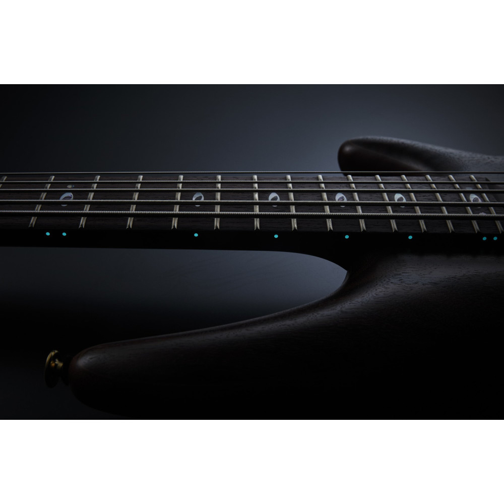 Ibanez SR3506-BK Prestige SR Electric Bass 6-String - Black + Case