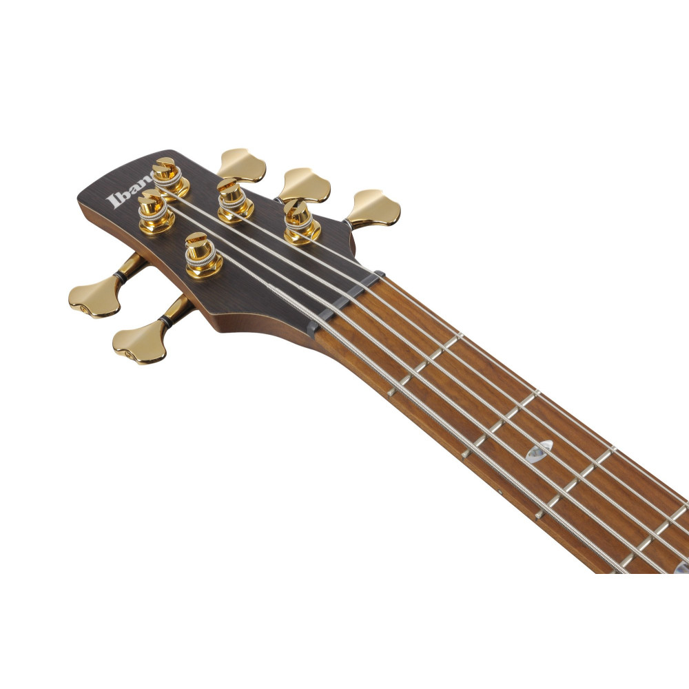 Ibanez SR4505-DST Prestige SR Electric Bass 5-String - Desert Sunset Burst + Case