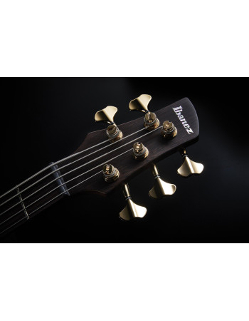 Ibanez SR6605-GFB Prestige SR Electric Bass 5-String - Ghost Fleet Blue Burst + Case