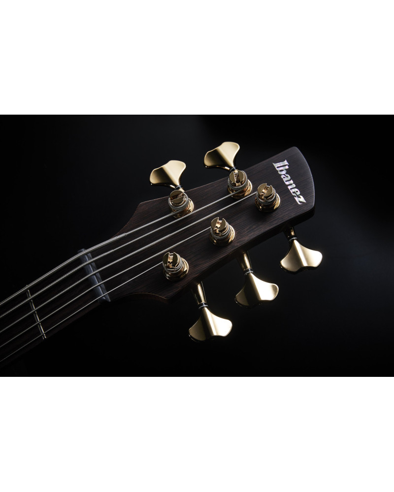 Ibanez SR6605-GFB Prestige SR Electric Bass 5-String - Ghost Fleet Blue Burst + Case