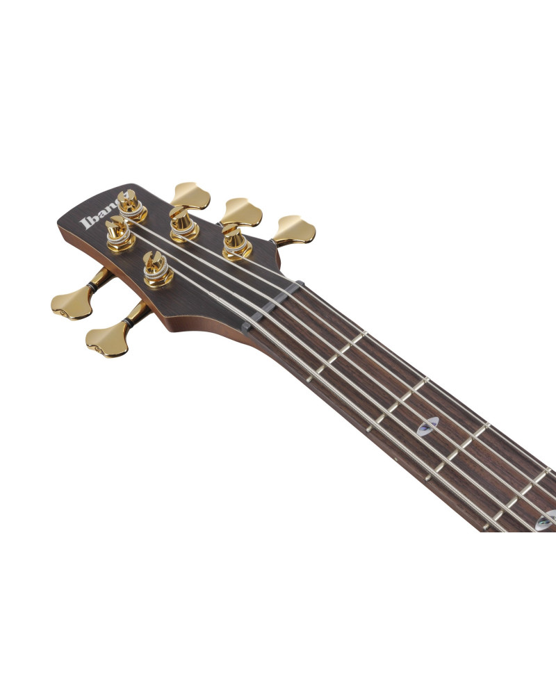 Ibanez SR6605-GFB Prestige SR Electric Bass 5-String - Ghost Fleet Blue Burst + Case