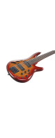 Ibanez SRD905F-BTL Bass Workshop SR Electric Bass 5-String Fretless - Brown Topaz Burst Low Gloss