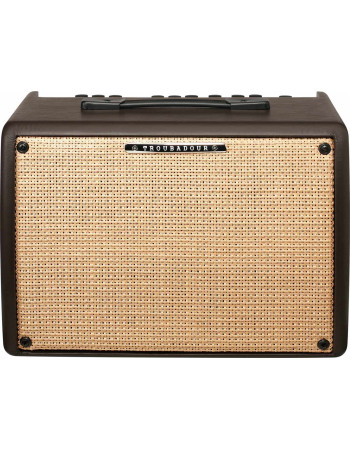 Ibanez T30II Troubadour Acoustic Amplifier - 30 Watt
