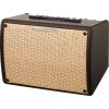 Ibanez T30II Troubadour Acoustic Amplifier - 30 Watt
