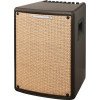 Ibanez T80II Troubadour Acoustic Amplifier - 80 Watt