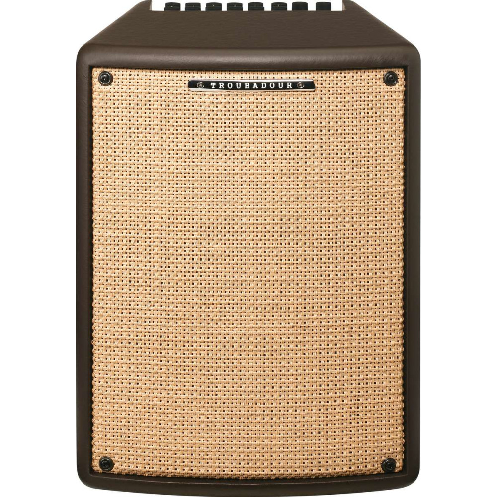 Ibanez T80II Troubadour Acoustic Amplifier - 80 Watt